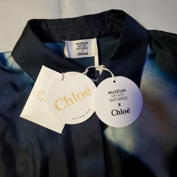 NWT $1950 Chloe Geode Print Twill Patterned Classic Silk Button Blouse Sz 40 (8) - Picture 11 of 16